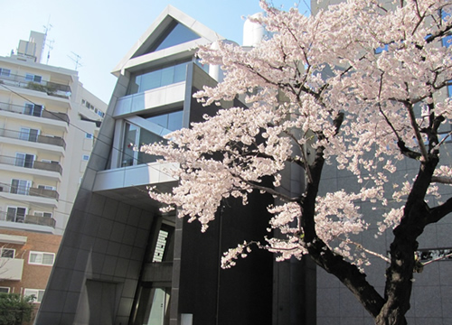 本社ビル外観(桜)