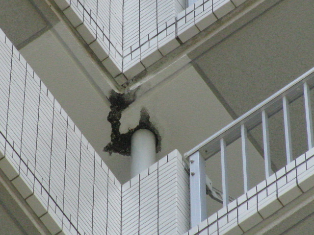 開放廊下天井 漏水跡・エフロレッセンス